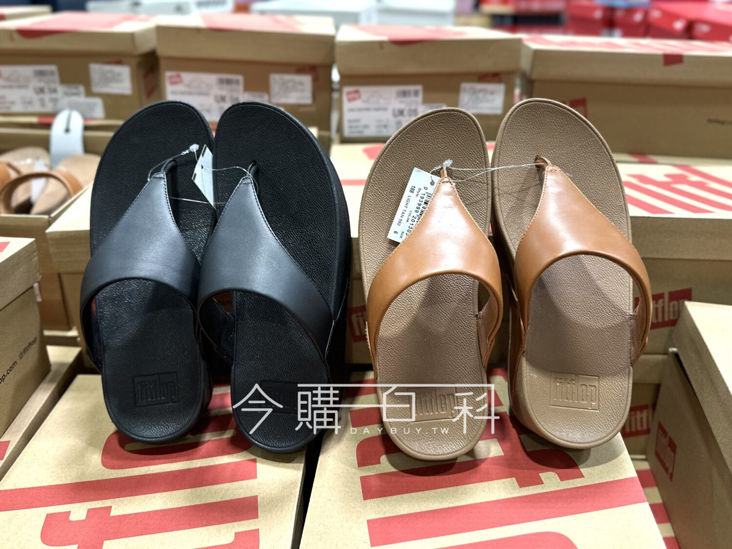 FITFLOP 女夾腳拖鞋 #1624407