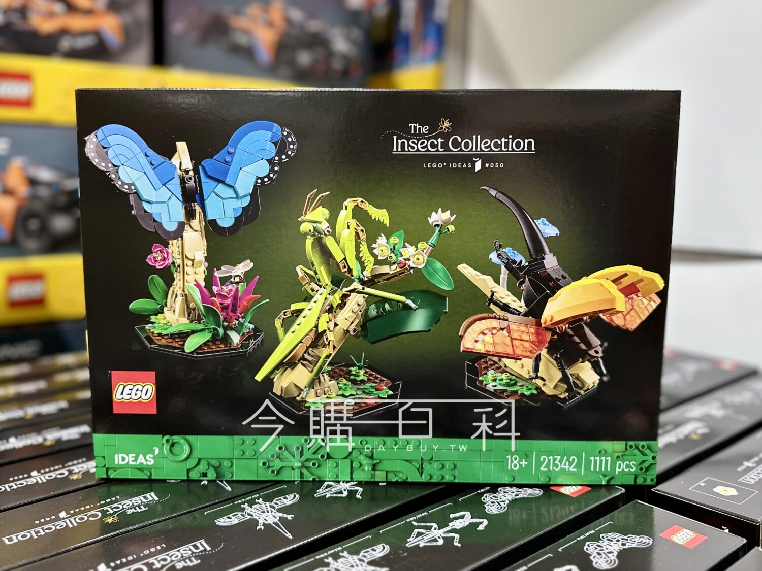 LEGO 21342 IDEAS系列昆蟲錦集 #151183