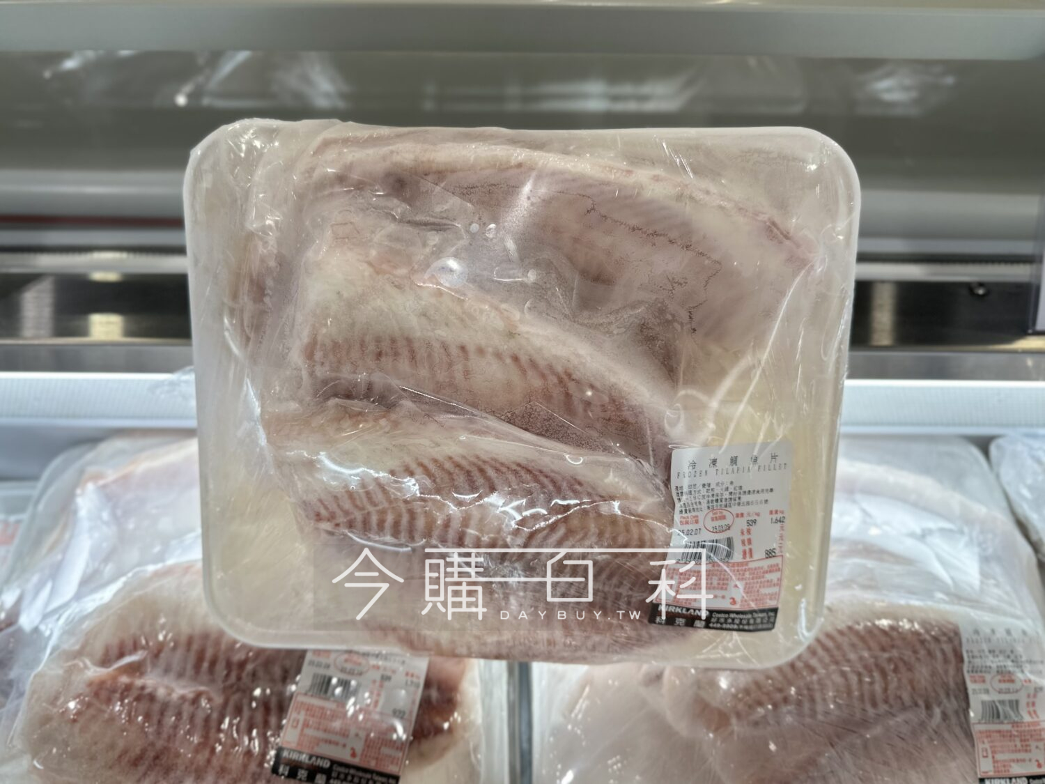 冷凍鯛魚片 #299038