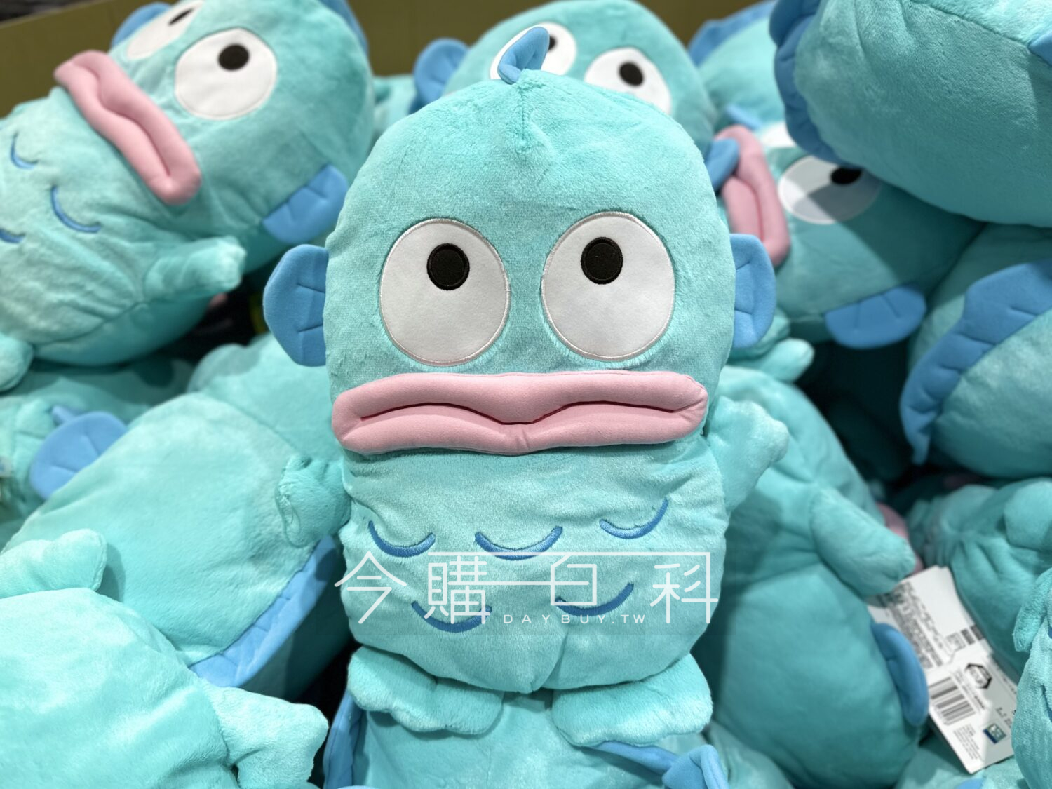 HANGYODON PLUSH 人魚漢頓絨毛玩偶 #148131